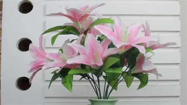 百合花香味有没有毒?可不可以在室内摆放?
