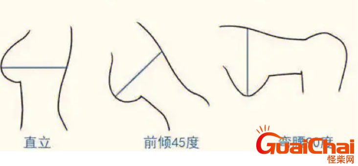 胸围怎么测量才标准？测胸围具体步骤是什么？