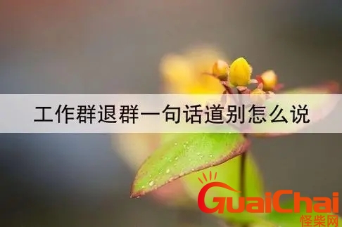 退群告别语简短幽默 退群告别语简短精辟