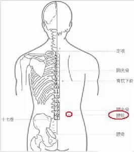 腰骶部是哪个部位？腰骶部位置图片