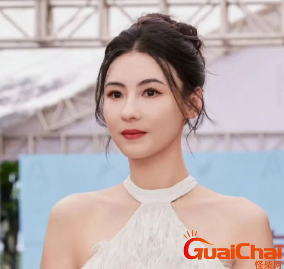 张柏芝和谢霆锋复合了吗？为什么张柏芝突然取消8月工作是怀孕了吗？
