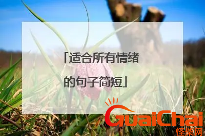 适合你所有情绪的句子有哪些？适合任何情绪发的文案109个