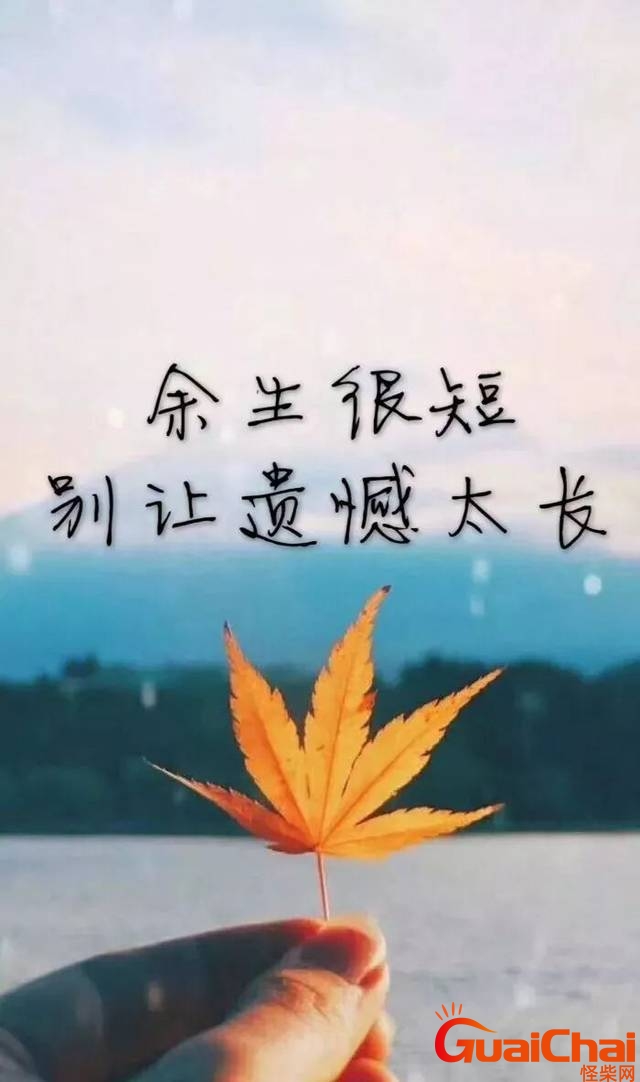 cf91cc336c4e0aab02ed3fee55be4acc_558a939681374ec6817548f0f2d0c426.jpeg