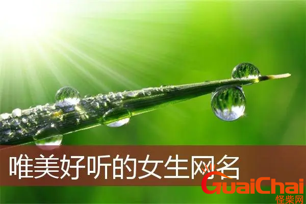 唯美的女生网名有哪些？女生网名简短147个