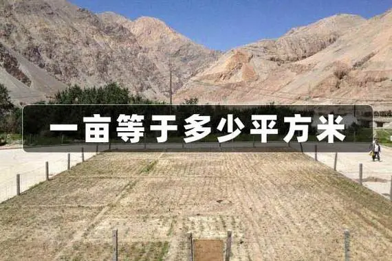 一平方米相当于多少亩？一平方米有多少亩呢？