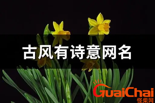 诗意淡雅的网名有哪些？好听又有诗意的昵称