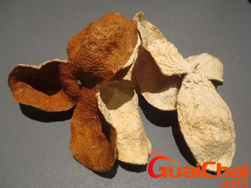 一般的陈皮多少钱一斤?陈皮的价格是多少？