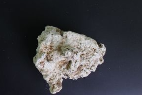 龙涎香是什么东西？龙涎香的是怎么产生的？