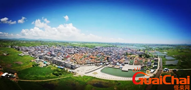 博社村属于哪个市?博社村行动牺牲了多少人?