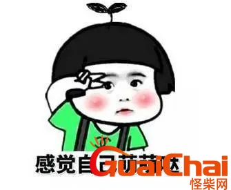 0f6639c6f0ee4810de85ce81fa874015_u=2785674082,4047967812&fm=253&fmt=auto&app=138&f=JPEG_w=335&h=275.webp