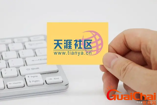 天涯社区是什么？是什么企业？