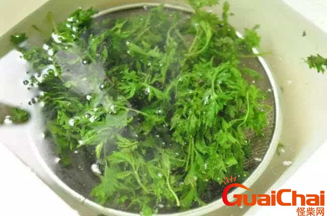 艾叶煮水喝的功效与禁忌 艾叶煮水喝有毒吗