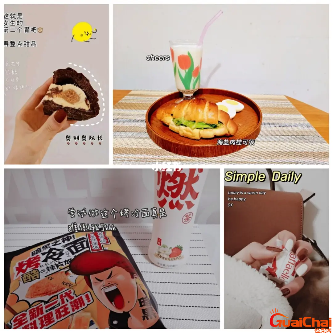 plog中文意思？plog中文翻译