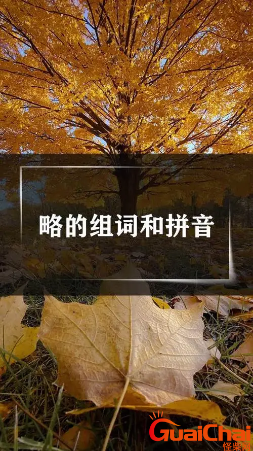 略拼音组词是什么？汉字略组词有哪些？