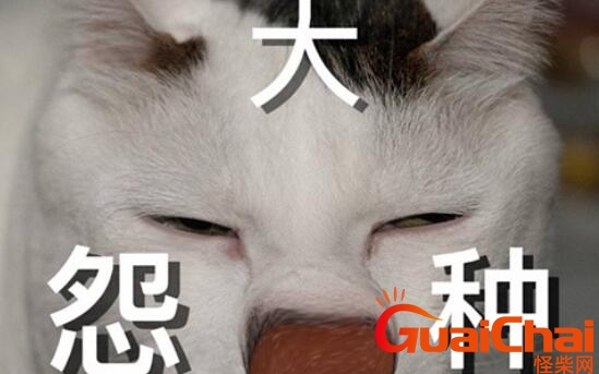 大冤种什么意思网络用语？男人叫女人大冤种什么意思