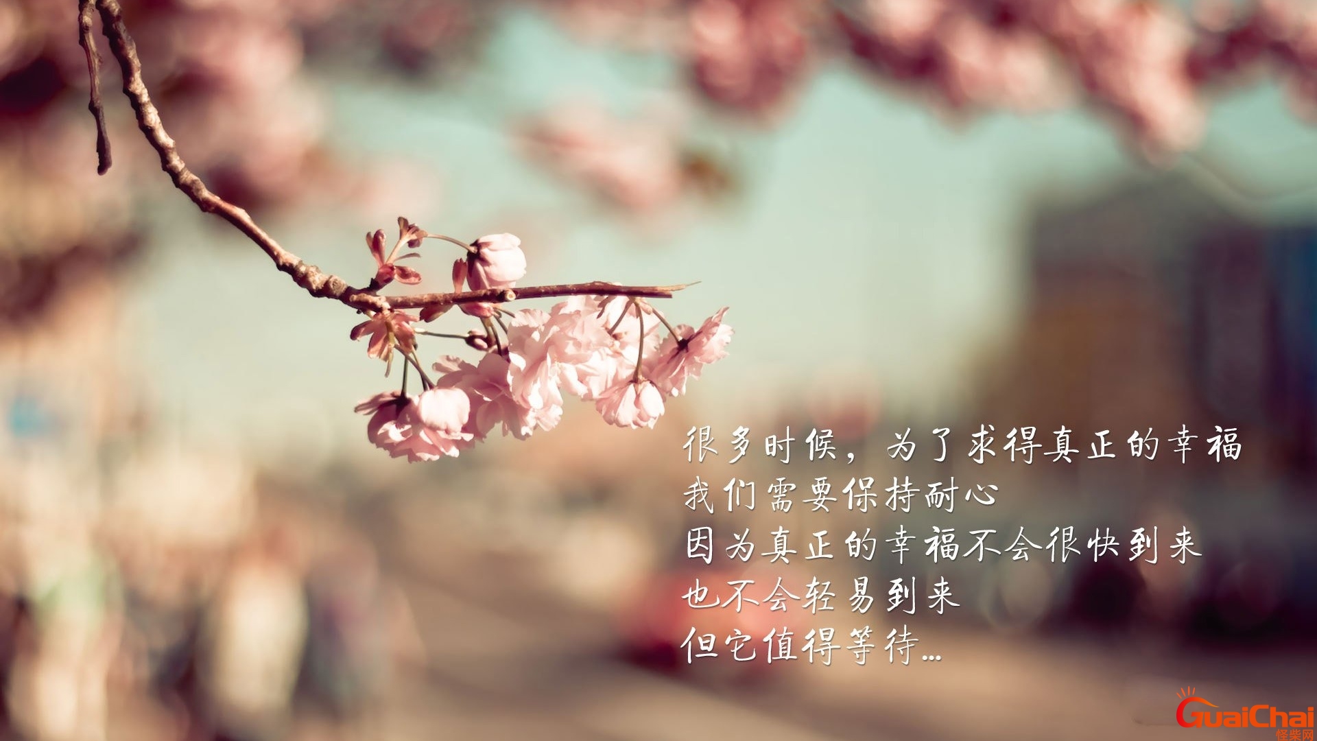 值得等待的唯美句子 等待一个人的经典句子