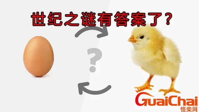 是先有鸡还是先有蛋？谜底解开了吗？