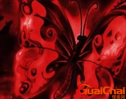 10个最吓人的蝴蝶是什么？骷髅蝴蝶是最恐怖的吗？