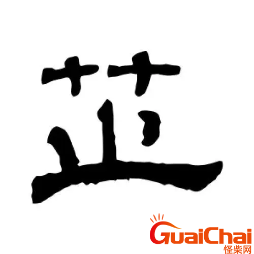 芷有什么含义？芷的意思是什么？