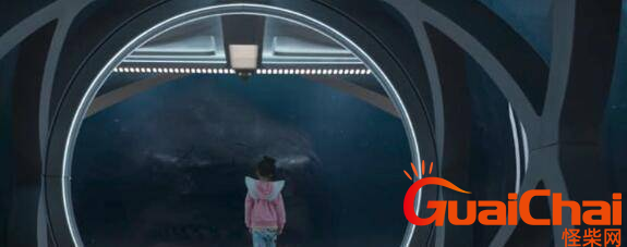 巨齿鲨1是哪一年上映的？剧情恐怖吗？