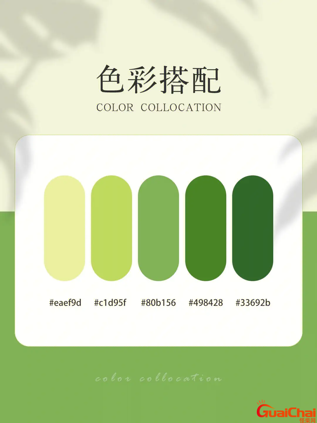 绿色和什么颜色搭配好看图片 绿色和什么颜色搭配好看画画