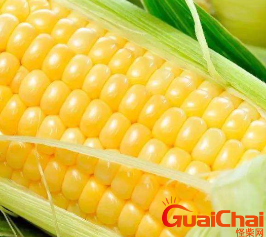 玉米怎么煮？苞谷玉米的煮法