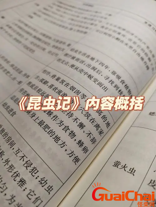 昆虫记每一章内容概括-1-5章内容概括是什么？