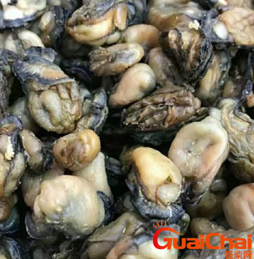 牡蛎怎么做？牡蛎有哪些吃法？