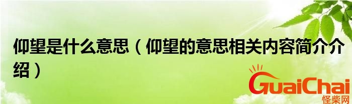 仰望的反义词是什么词？仰望的反义词最佳答案