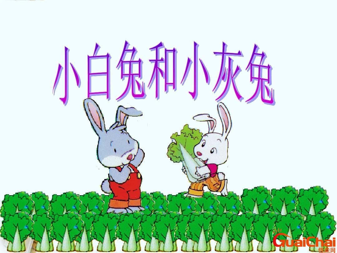 小白兔和小灰兔的故事告诉我们什么道理？小白兔和小灰兔的故事读后感