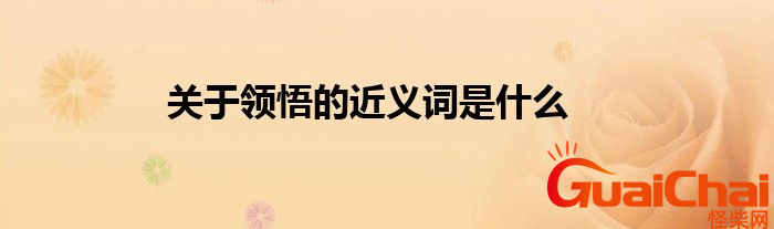 领悟的近义词是啥？领悟的近义词是什么词