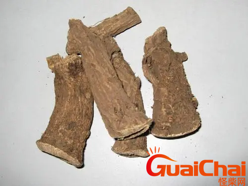 木香的做法有哪些？木香如何做好吃？