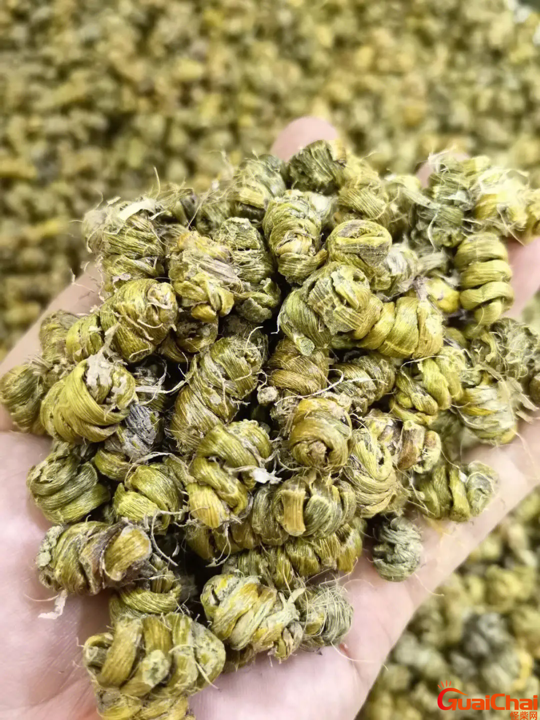 铁皮石斛的正确吃法？铁皮石斛作用与功能主治 