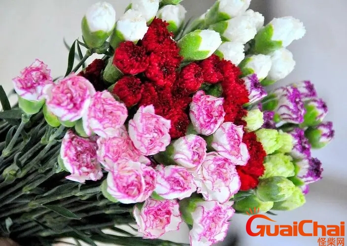 bef0309f5c9a8d98861ce35dc2879dc2_u=4050474160,3296181330&fm=253&fmt=auto&app=138&f=JPEG_w=704&h=500.webp