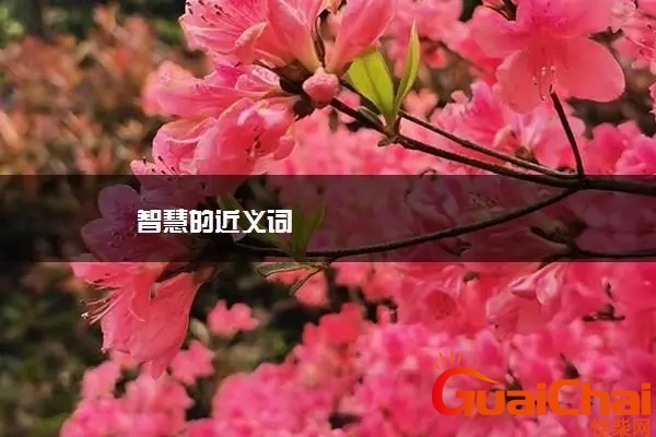 1c294033d2f4953a7a0d241e706e0807_u=2779401754,2730900242&fm=253&fmt=auto&app=138&f=JPEG_w=600&h=400.webp
