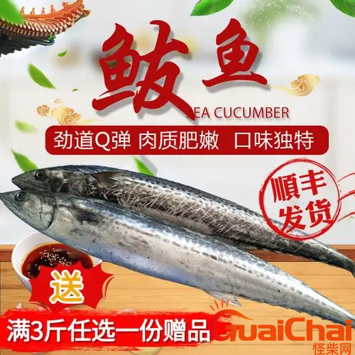 鲅鱼读音是什么？鲅鱼如何读？