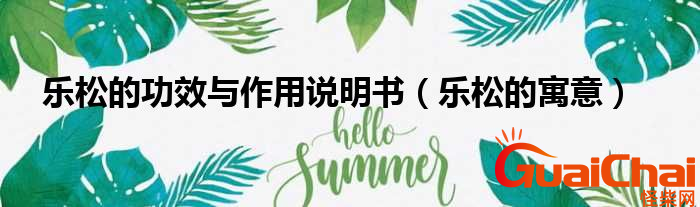乐松是什么？乐松的功效是什么？