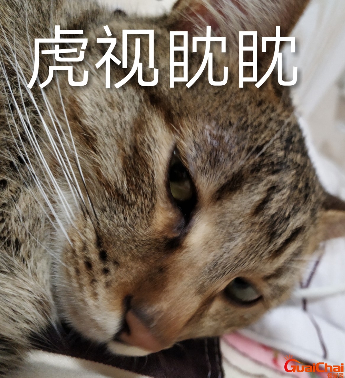 虎视眈眈是贬义词还是褒义词？虎视眈眈怎么读