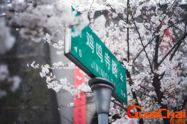 鸡鸣寺的樱花开了是什么意思？什么是鸡鸣寺的樱花开了？