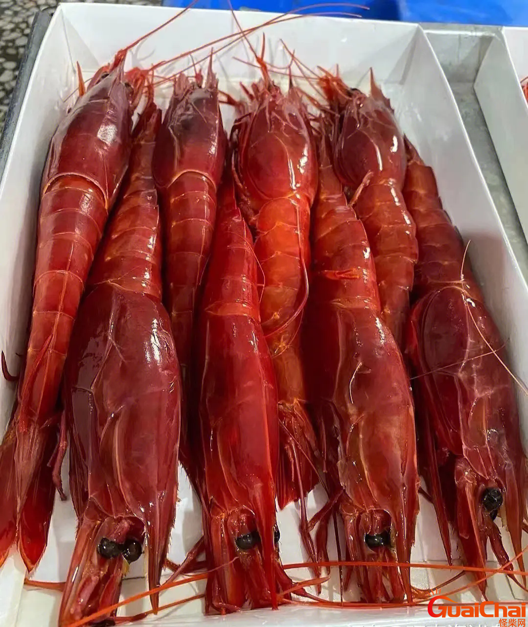 红魔虾生吃真的好吃吗？红魔虾的功效和作用