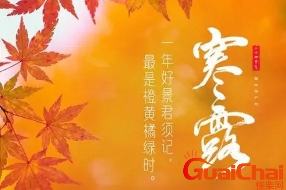 寒露的寓意是什么 寒露的文化内涵