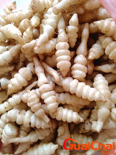 甘露子的功效是什么？甘露子有什么作用？