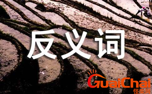 含反义词的四字成语有哪些？什么是含反义词的四字成语？