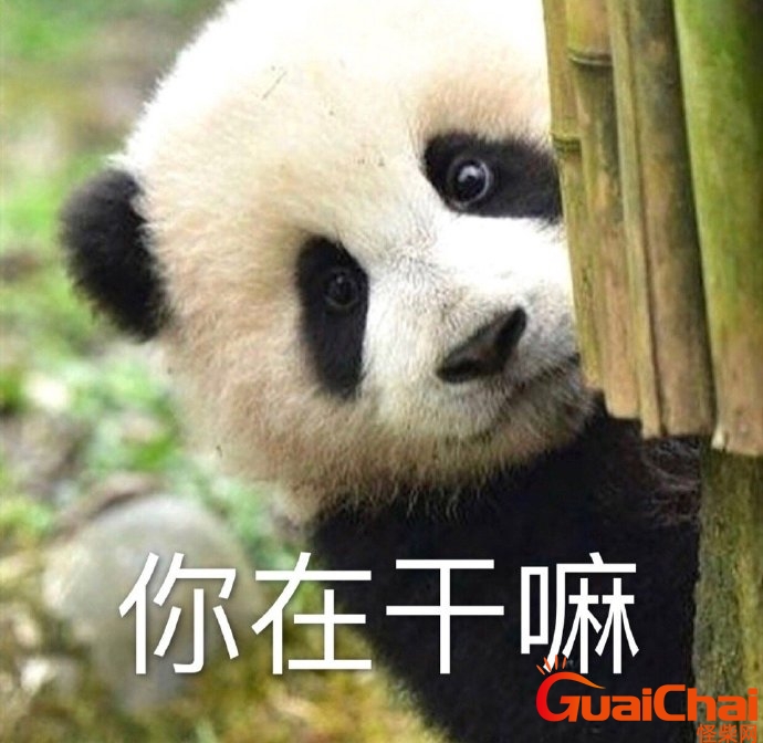 在干嘛怎么说情商高？在干嘛怎么回复幽默