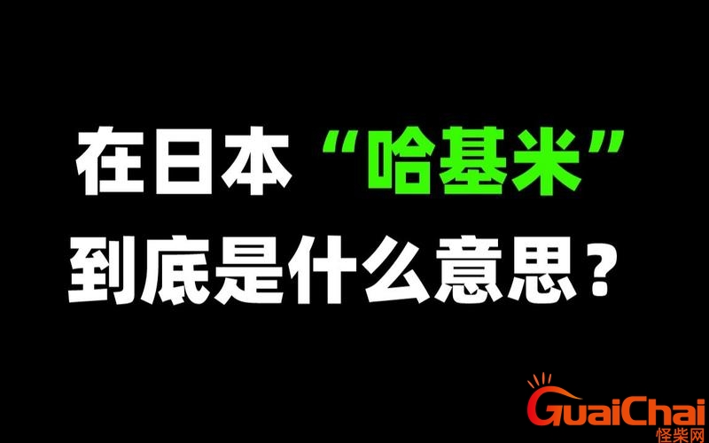 哈基米日语怎么写 哈基米日语翻译