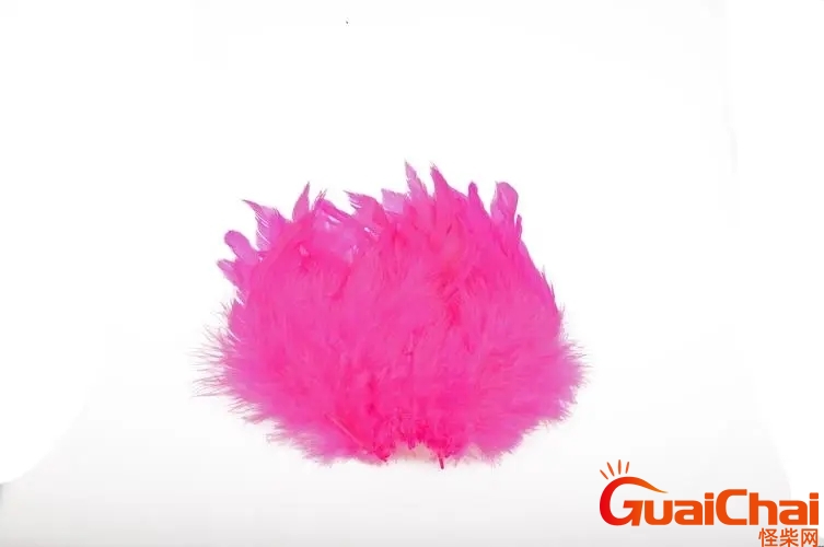 pink是什么颜色的意思 pink代表什么含义
