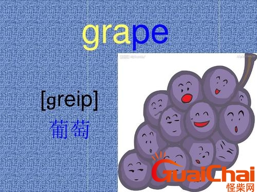 葡萄英语怎么读grape