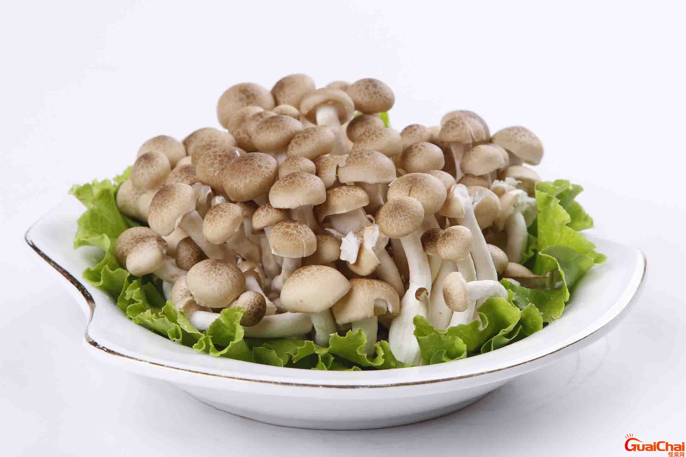 蟹味菇怎么做好吃？蟹味菇需要掉水吗