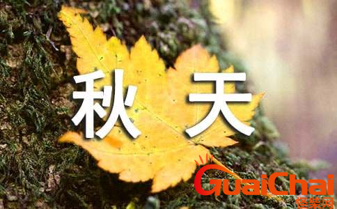 我眼中的秋天的作文怎么写？如何写我眼中的秋天？