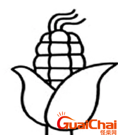 玉米简笔画怎么画？怎么简单的画玉米？